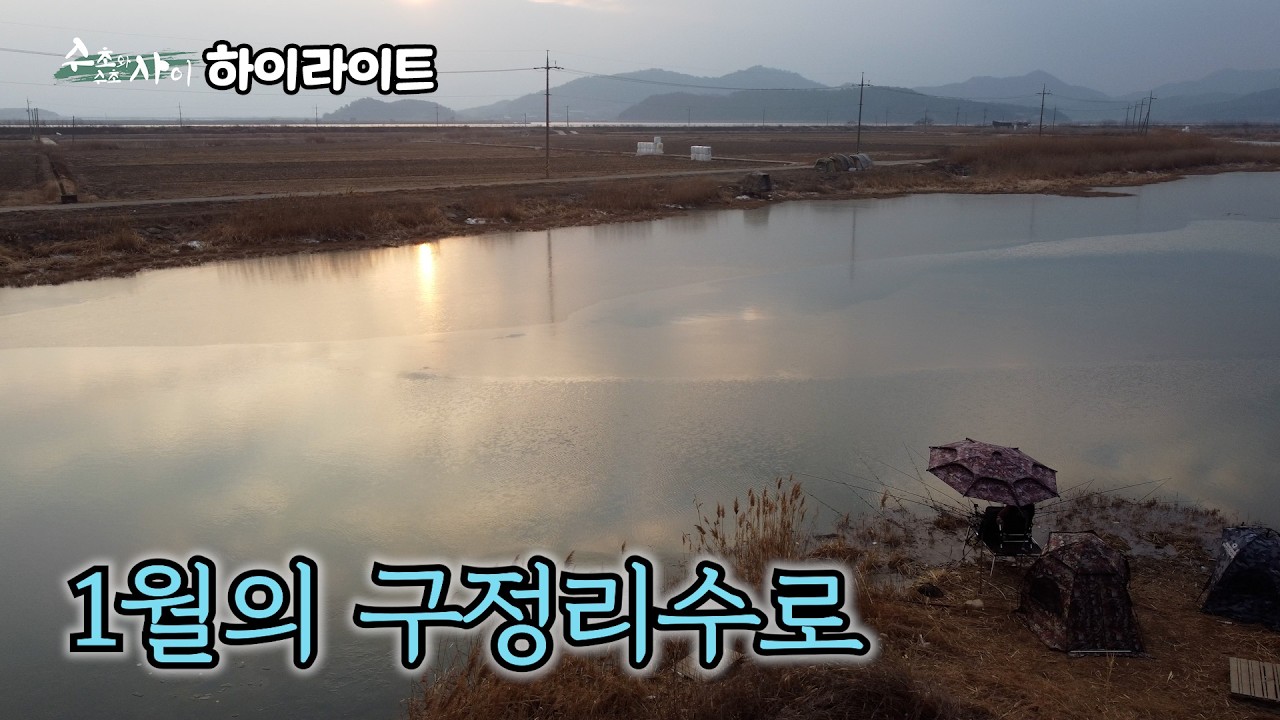 [하이라이트] 수초와 수초 사이 40회 - 1월의 구정리수로 (2026.02.17.방송)