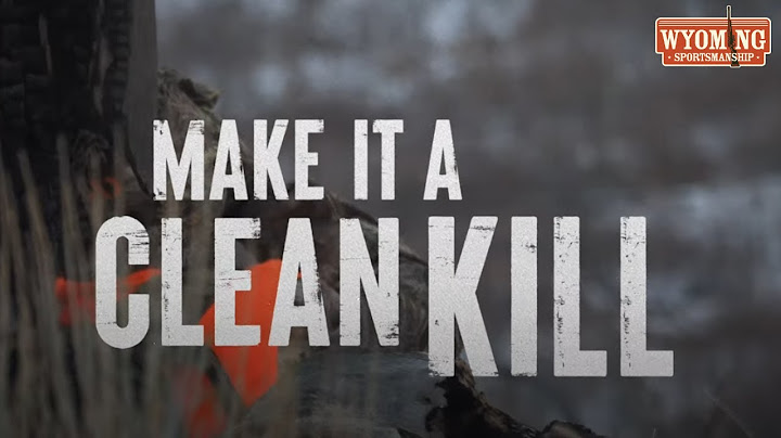 Make It a Clean Kill