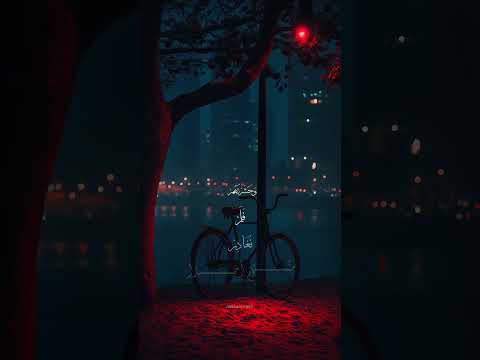 استمع لقراءة الشيخ واطمئن القارئ زياد محمد حامد 