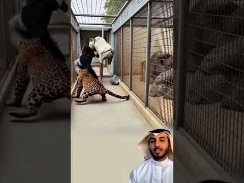 لولا لطف الله لكنت اليوم قصة ت روى لا إنسان ا يرويها لايك ابلور 