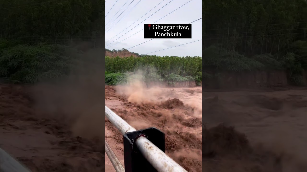 Ghaggar River | Panchkula