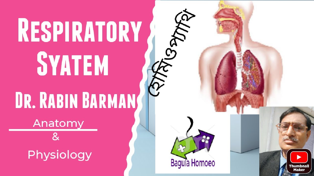 Respiratory System A-Z ! Dr. Rabin Barman I Homeopathy Treatment I Anatomy & Physiology