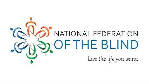 Using Braille Screen Input on your iPhone or iPad