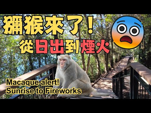 從金龍山日出到文武廟煙火｜日月潭的白天與黑夜都讓人驚豔 | 金龍山 | 日出 | 花火節 | 文武廟 | 玄奘寺 | 玄光寺 | 向山遊客中心 | 伊達邵 | Sun Moon Lake |