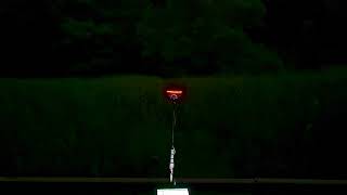 20260517 09:24pm Frogs in an Open Reed Field (HPL Binaural)