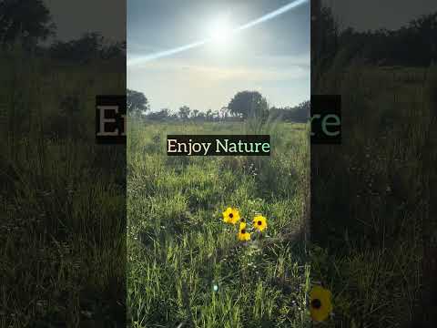 #enjoy #nature#sunset #sounds #shorts