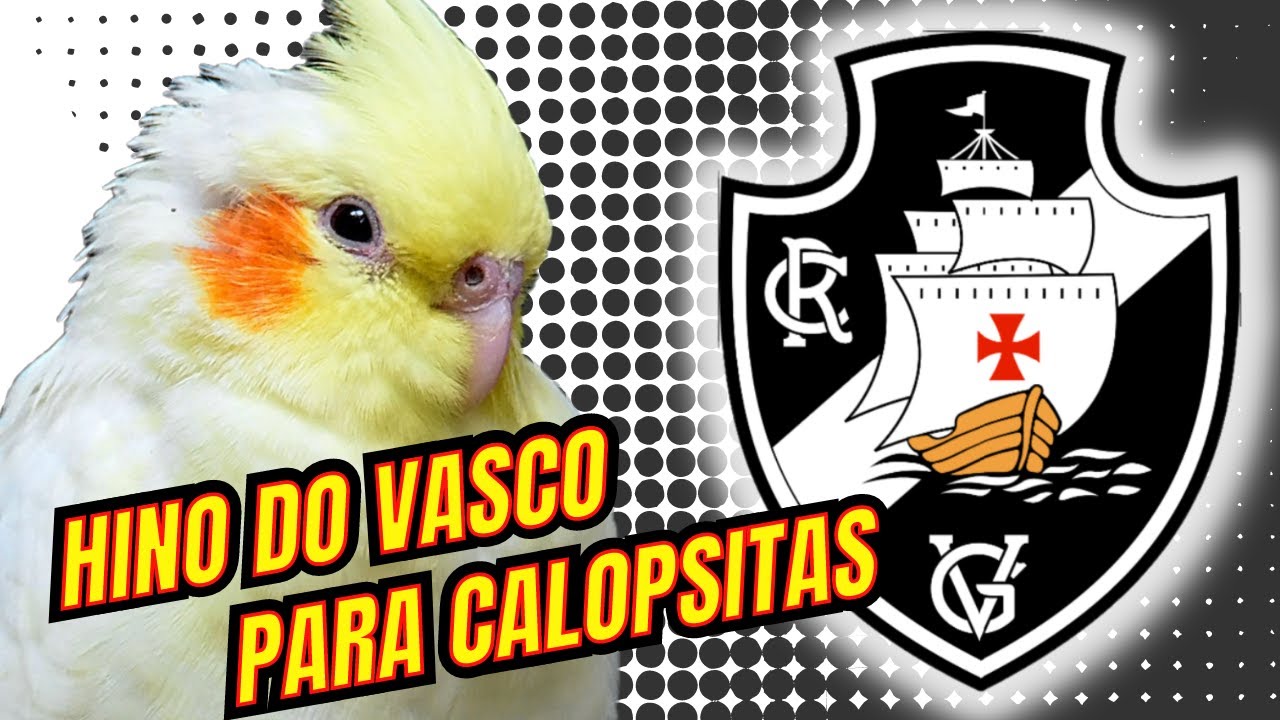HINO DO VASCO PARA CALOPSITA - YouTube