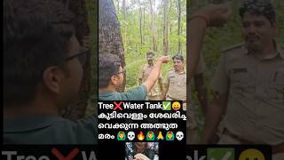 Tree ❌Water tank✅Magical water storing tree in the forest🙆‍♂️വെള്ളം ശേഖരിച്ചുവെക്കുന്ന മരം#viraltree