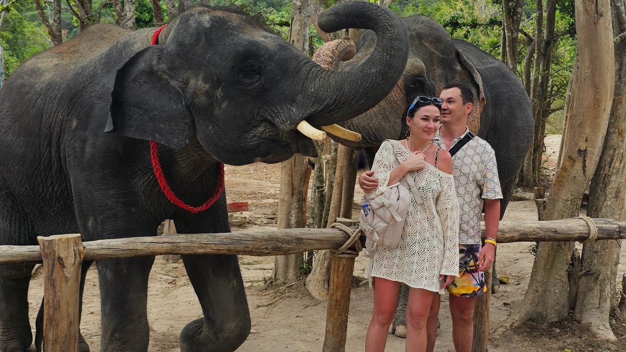 Most Beautiful Places In the World | From France & Switzerland to Thailand & Beyond!  day6