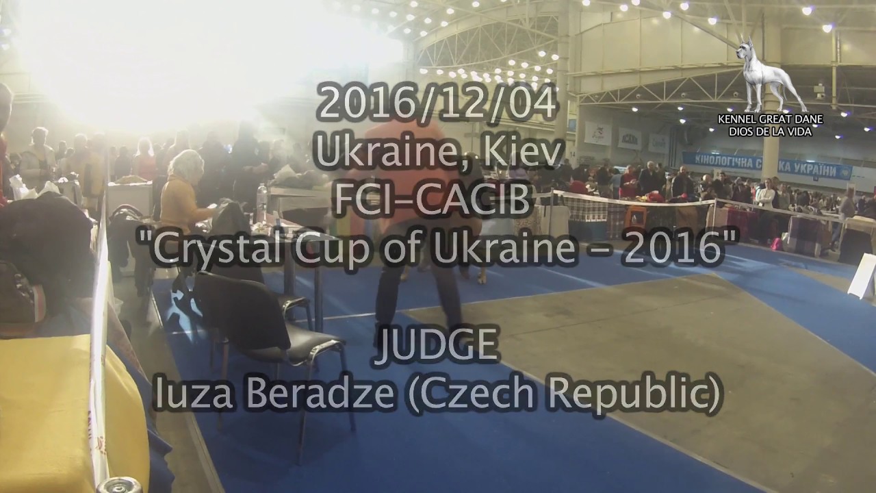 2016/12/04 FCI-CACIB