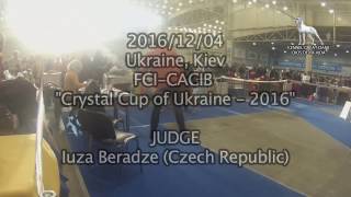 2016/12/04 FCI-CACIB  Crystal Cup of Ukraine - 2016