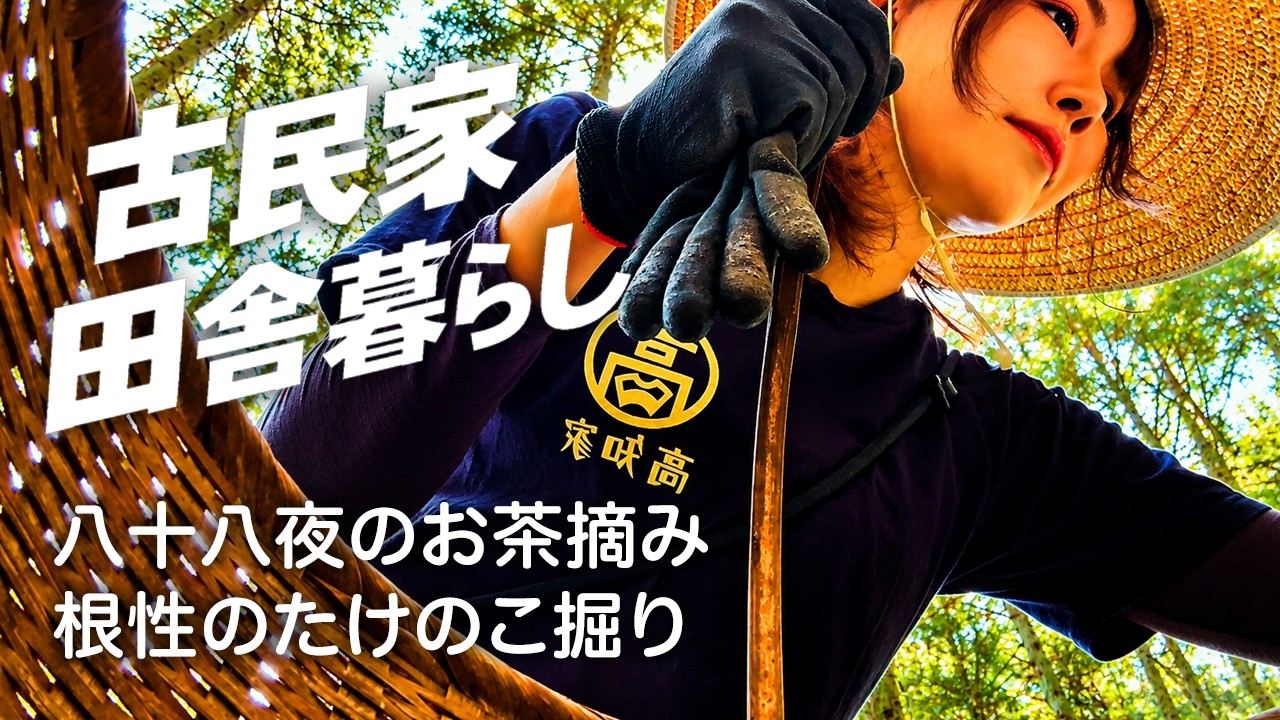 日本における農民層の分解（送料込） Exploring Rural Japan: Tea Picking & Bamboo Shoot Harvesting - YouTube