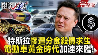 Is Tesla a Blackberry in the electric car  Price down to survive