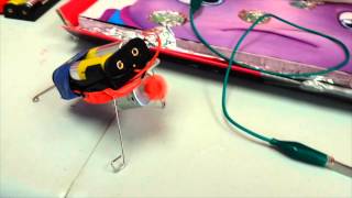 Junkbots, BEAM bots and Just plain ol' fun.