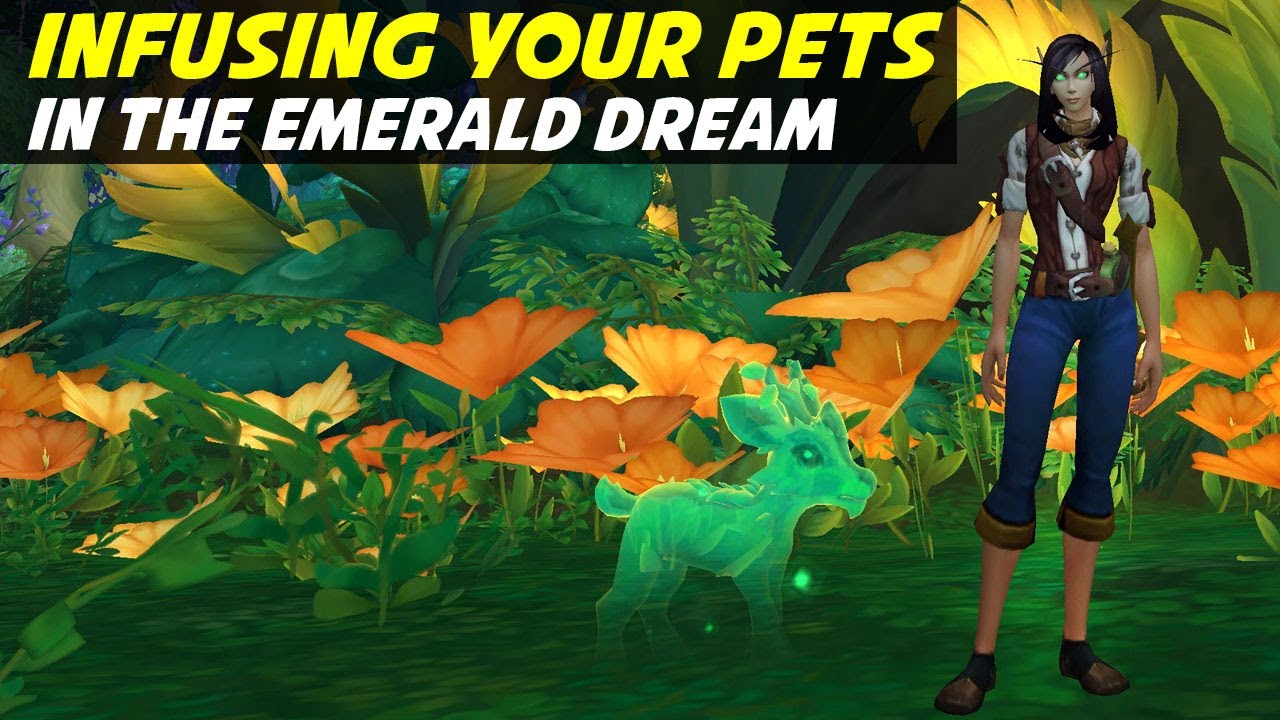 Dream Infused Pets and Mounts