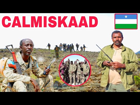 Calmiskaad Meydadka DAC1SH Oo Dadsan Toga Balaade Kuwaas Oo Manta Lalayay 