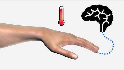 What is Hand Arm Vibration Syndrome? | HAVS | iHASCO