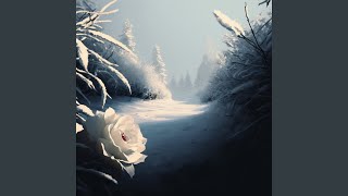The third Snowflake