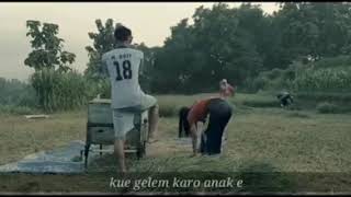 #story wa cewek cantik panen padi