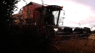 Moisson de blé en août 2013 (#2)
