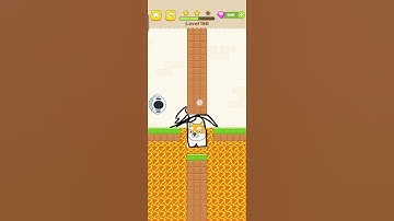 Save The Dog Game Level 160