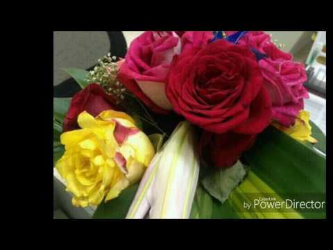 الفاتح ميرغنى حرمان 