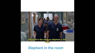 the elephant in the room