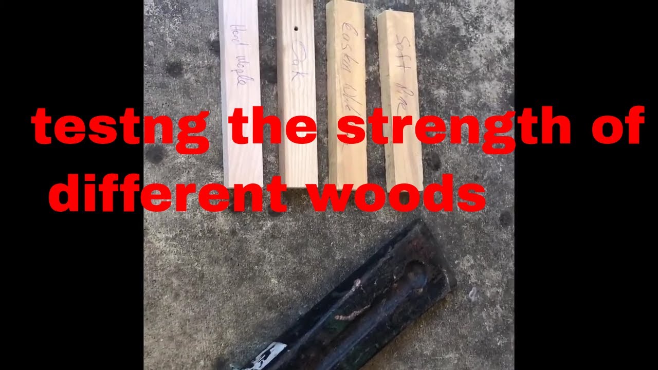 testing the strength of different woods - YouTube