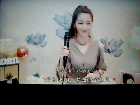 娜寶 Na Bảo - 飛 FLY འཕུར  (藏語-好棒棒 ! )