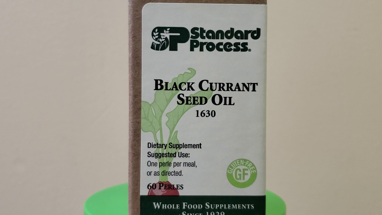 Standard Process Black Currant Seed Oil YouTube