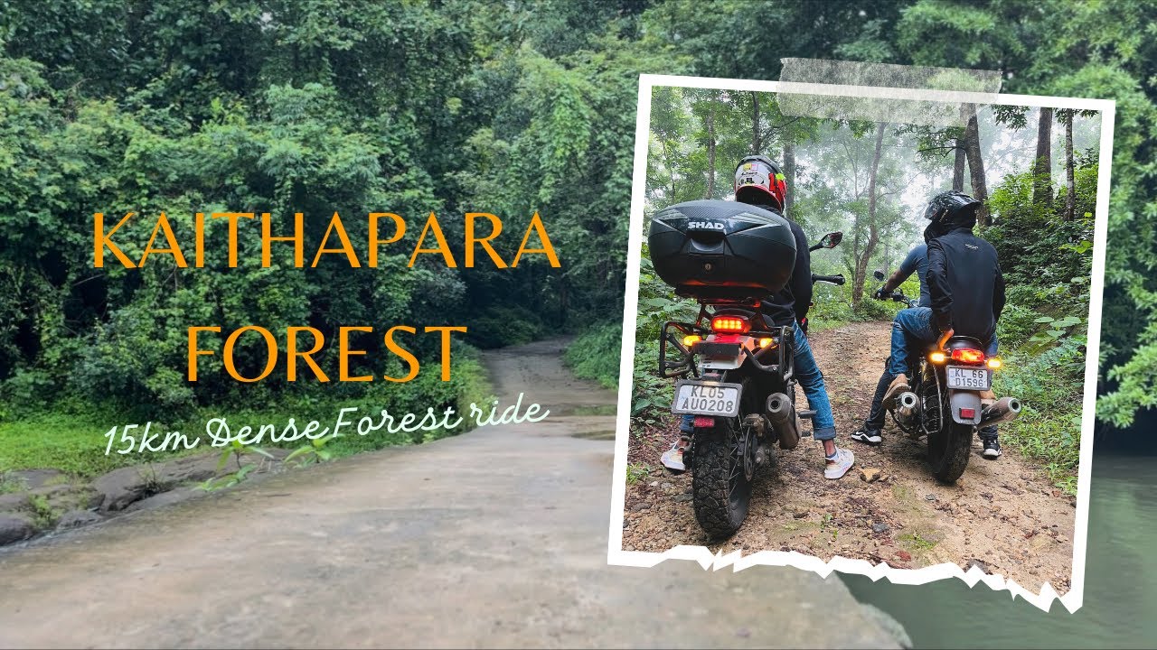 Idukki Kaithapara Forest Bike Ride🌲🌳Dense Forest 🌲#offroading #idukki  #adventureriding #forest