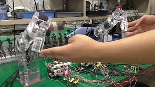 Micro Direct Drive Motor Miniature AC servomotor Robotic arm Master slave demonstration (NPM)
