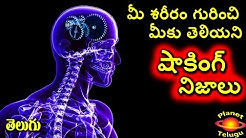 Unknown Real Facts about Human Body in Telugu I PLANET TELUGU  - Durasi: 10:23. 