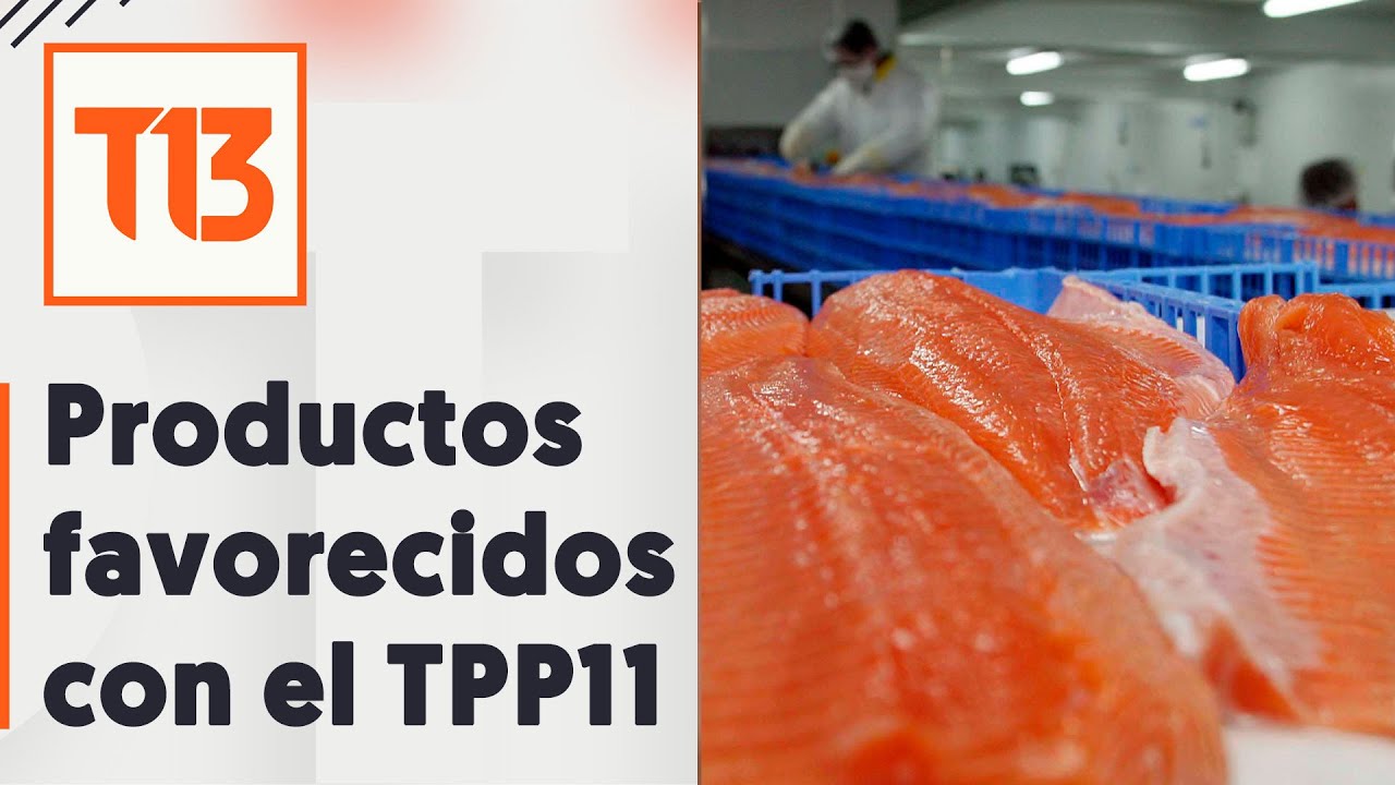 Los productos chilenos que ganan con el TPP-11