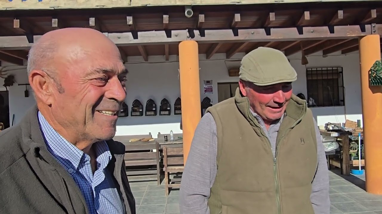 Mañana de Domingo TLF 667 78 68 63