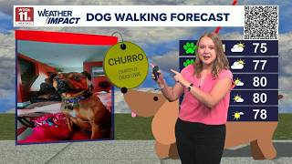Dog walking forecast Fantastic green paw weather for pups and people Good Day on WTOL 11