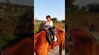 #themis #horseriding #horse #songs #gurgaon #love