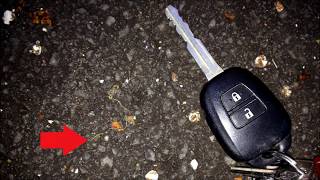 Paardehaarworm Gordius Setiger - 2015-05-18