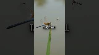 The Tiny Predator With a 95% Kill Rate That Sees the Future