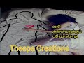 வலி அனைவருக்கும் புரியும் மொழி