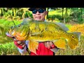 Catching Peacock Bass On Rapala Countdown Elite