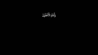 ولا تهنوا ولا تحزنوا وأنتم الأعلون | عبدالباسط ، آل عمران | كرومات قرآن شاشة سوداء ، ايات قرآنية