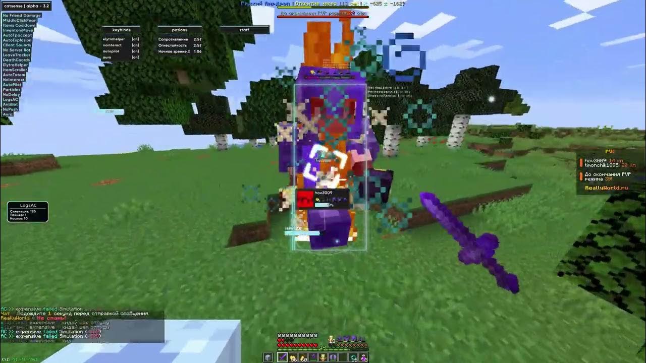 Мод wings 1. Элитра таргет. Элитра таргет. Мод на крылья. Мод на элитры.