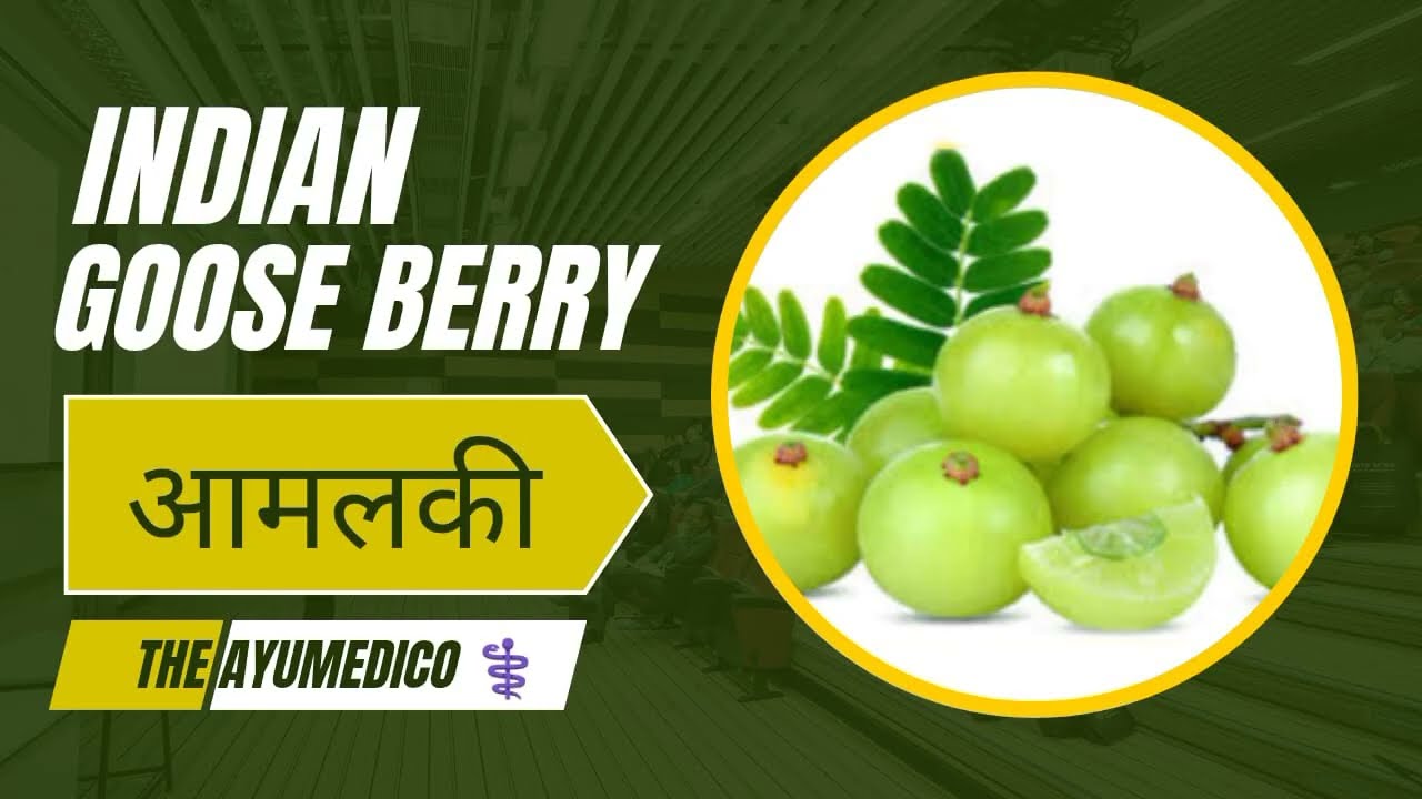 Amlaki in Dravyaguna Vigyan | Complete Exam Guide for BAMS Students