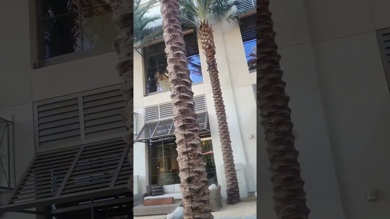 The Edge Of RH Gallery Building Next To Ocean View Point Fashion Island California 1 30 2025 