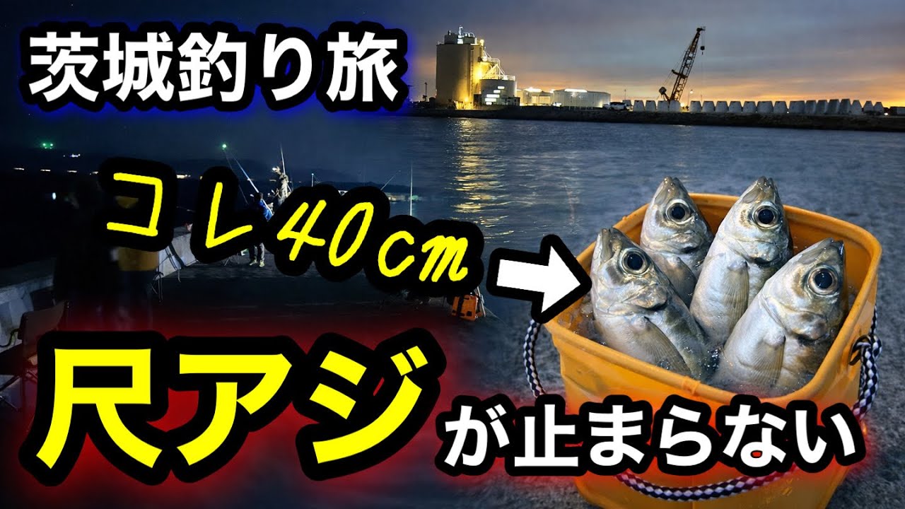 最大40センチ！茨城の堤防で尺アジが止まらない⁉︎クーラー満タンの神回！