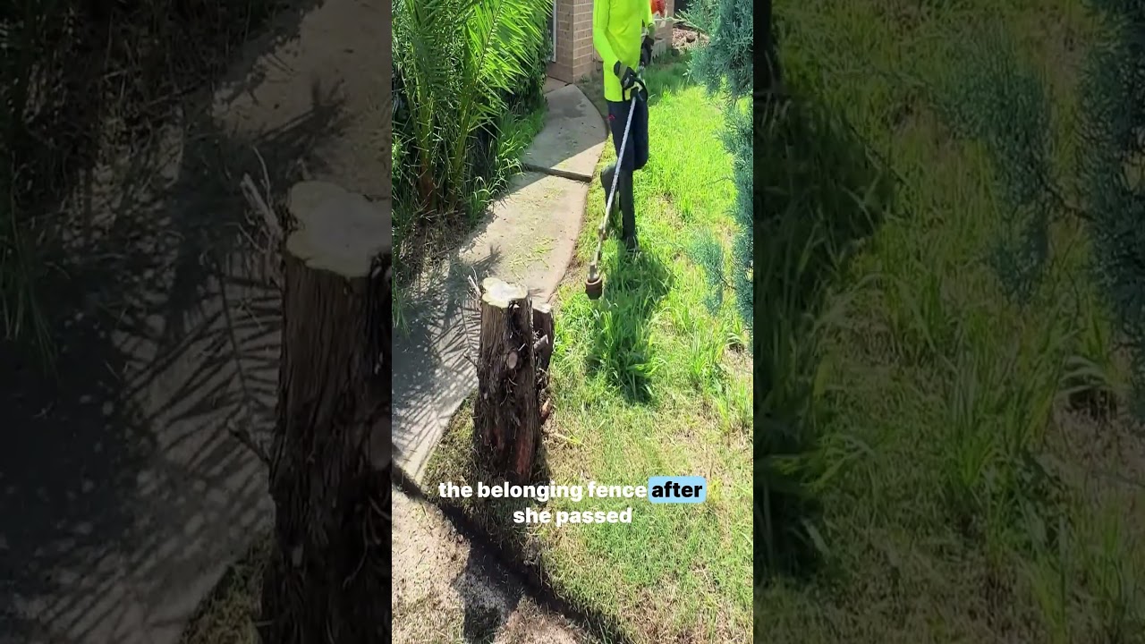 Woman Cried When She Saw What Was Hidden In This Overgrown Fence 😭 #shorts