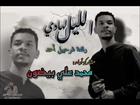 محمد علي بيضون الليل الهادي