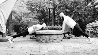 Celebrity The Hands Elevated Push-up Wealth