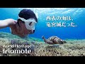 Snorkeling in World Heritage Iriomote | Ray Reef | Hatoma and Barasu